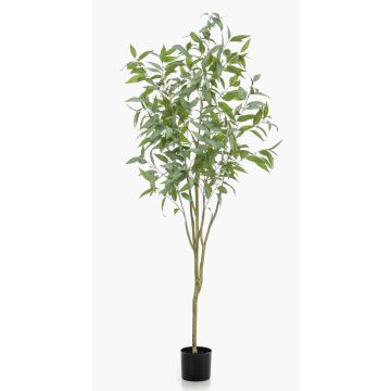 Artificial tree Eucalyptus ILONKA, artificial trunk, green, 6ft/195cm Artificial tree Eucalyptus ILONKA, artificial trunk, green, 6ft/195cm