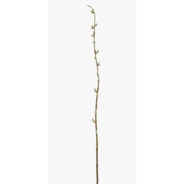 Artificial pussy willow branch DAFINO with flowers, white, 3ft/105cm