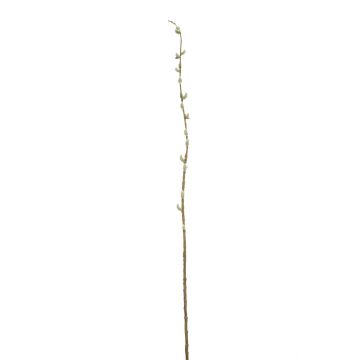 Artificial pussy willow branch DAFINO with flowers, white, 3ft/105cm Artificial pussy willow branch DAFINO with flowers, white, 3ft/105cm