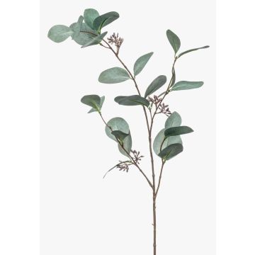 Fake eucalyptus branch MAXEN with fruits, green-grey, 30"/75cm