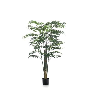 Decorative bamboo palm MERIEL, 6ft/195cm Decorative bamboo palm MERIEL, 6ft/195cm