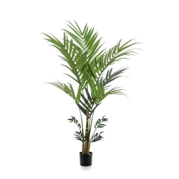 Fake Kentia palm NESTA, 6ft/180cm