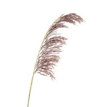 Artificial branch Pampas grass SGARLAD, old violet, 4ft/125cm