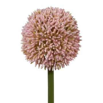 Decorative flower Allium MENKES, pink, 26"/65cm