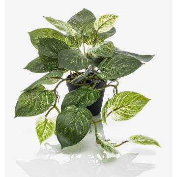 Artificial scindapsus pictus TREVA, green-white, 22"/55cm