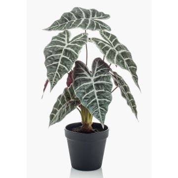 Artificial Alocasia Sanderiana UTHER, green-white, 16"/40cm