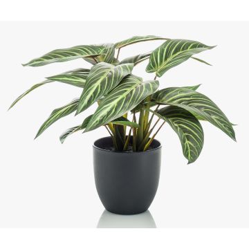 Artificial Calathea Zebrina VAIDA in decorative pot, green-white, 16"/40cm