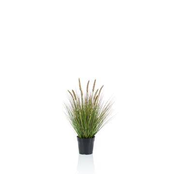 Fake pennisetum YWAIN with panicles, beige-green, 24"/60cm