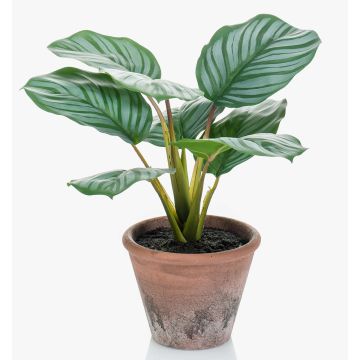 Artificial Calathea Orbifolia ESMIE in terracotta pot, green-white, 12"/30cm
