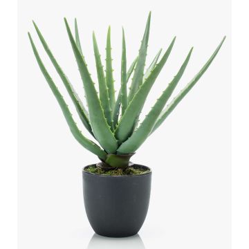 Artificial Aloe Vera EVELIO in decorative pot, 14"/35cm Artificial Aloe Vera EVELIO in decorative pot, 14"/35cm