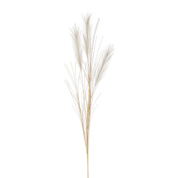 Artificial pampas grass branch BALARI, panicles, cream, 26"/65cm