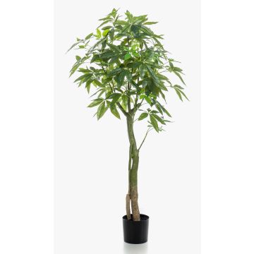 Artificial pachira HARUKI, artificial stems, 5ft/150cm