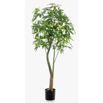 Artificial pachira HARUKI, artificial stems, 6ft/180cm