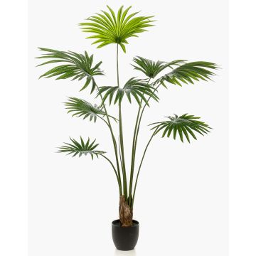 Artificial palm Livistona rotundifolia FAVIOLA in decorative pot, 5ft/160cm