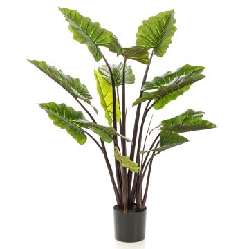 Fake colocasia KANAYE, green, 4ft/130cm