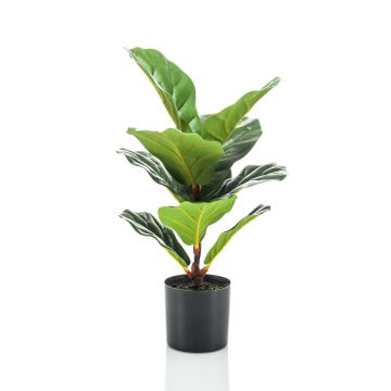 Artificial Ficus Lyrata EMILIANA, green, 22"/55cm Artificial Ficus Lyrata EMILIANA, green, 22"/55cm