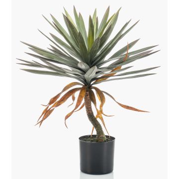 Artificial yucca KOUKI, 30"/75cm