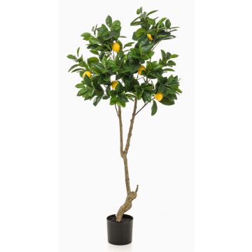Artificial lemon tree MAKOTO, artificial trunk, with fruits, 5ft/150cm