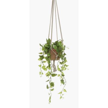 Artificial Philodendron hanging basket RUESCA, terracotta pot, 3ft/90cm