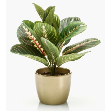 Artificial arrowroot SITULA in golden ceramic pot, green-red, 12"/30cm