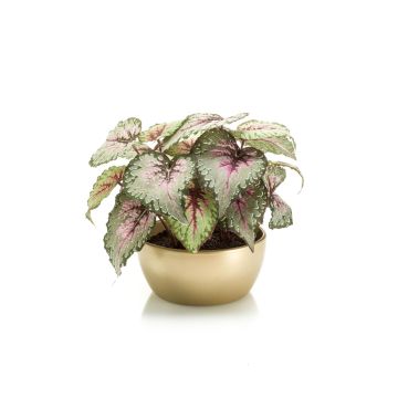 Artificial begonia rex KATRICE in golden ceramic bowl, purple-green, 10"/25cm Artificial begonia rex KATRICE in golden ceramic bowl, purple-green, 10"/25cm