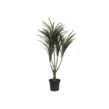 Artificial Dracaena Reflexa TABIVO, artificial stem, green-red, 3ft/90cm Artificial Dracaena Reflexa TABIVO, artificial stem, green-red, 3ft/90cm
