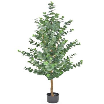 Artificial eucalyptus tree WEONFYN, artificial trunk, green, 6ft/180cm Artificial eucalyptus tree WEONFYN, artificial trunk, green, 6ft/180cm
