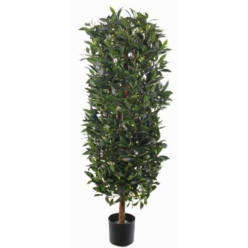 Artificial laurel column UNUK, real stem, 6ft/175cm Artificial laurel column UNUK, real stem, 6ft/175cm