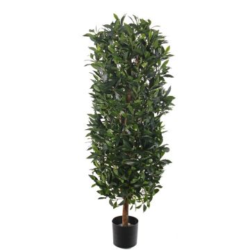 Artificial laurel column UNUK, real stem, 6ft/175cm Artificial laurel column UNUK, real stem, 6ft/175cm