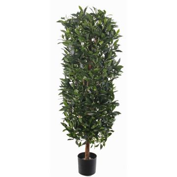 Artificial laurel column UNUK, real stem, 5ft/140cm Artificial laurel column UNUK, real stem, 5ft/140cm
