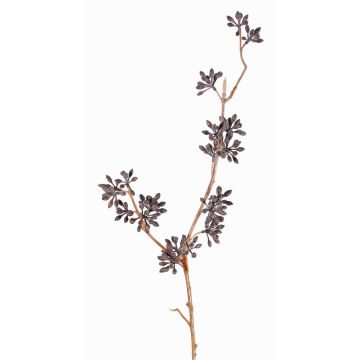 Plastic eucalyptus spray SOHA with fruits, dark brown, 24"/60cm Plastic eucalyptus spray SOHA with fruits, dark brown, 24"/60cm