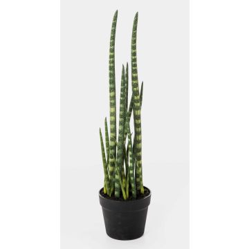 Artificial Sansevieria Cylindrica AIDANA, green-yellow, 26"/65cm Artificial Sansevieria Cylindrica AIDANA, green-yellow, 26"/65cm