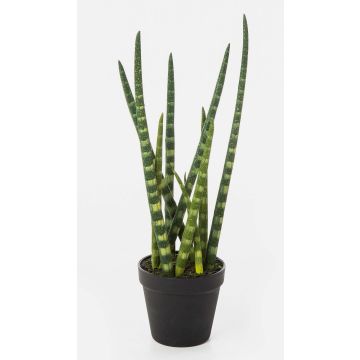 Artificial Sansevieria Cylindrica AIDANA, green-yellow, 16"/40cm Artificial Sansevieria Cylindrica AIDANA, green-yellow, 16"/40cm