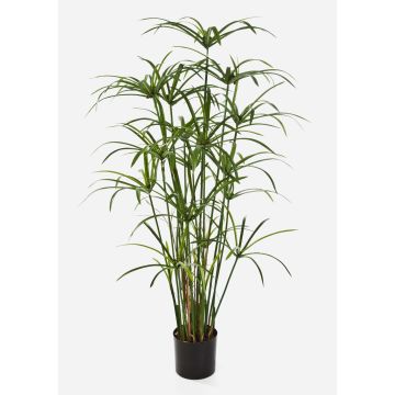 Artificial plant Papyrus ALBY, green, 4ft/125cm
