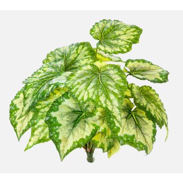 Artificial begonia rex BEVEN on spike, green-yellow, 14"/35cm Artificial begonia rex BEVEN on spike, green-yellow, 14"/35cm