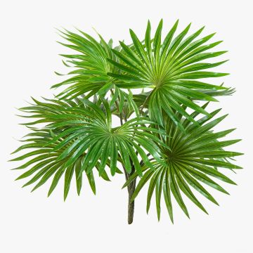 Artificial Washingtonia palm SCHEDIR on spike, 14"/35cm