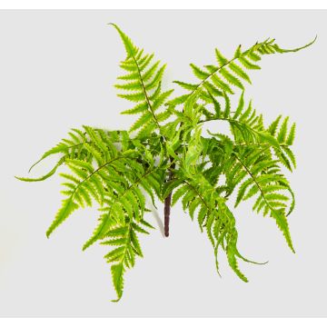 Artificial cinnamon fern VIRGINS on spike, green, 12"/30cm, Ø16"/40cm Artificial cinnamon fern VIRGINS on spike, green, 12"/30cm, Ø16"/40cm