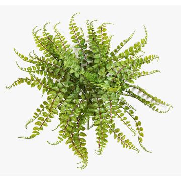 Fake button fern IMAI on spike, green, 16"/40cm, Ø20"/50cm Fake button fern IMAI on spike, green, 16"/40cm, Ø20"/50cm