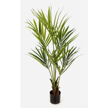 Artificial Kentia palm OMAYRA, 5ft/140cm