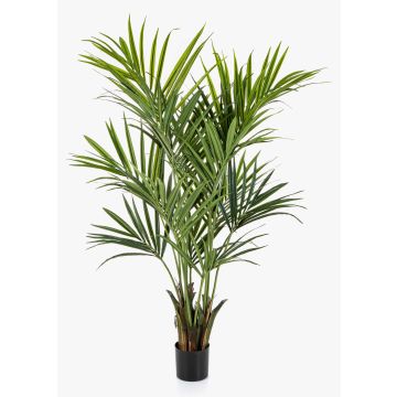 Artificial Kentia palm OMAYRA, bushy, 6ft/170cm