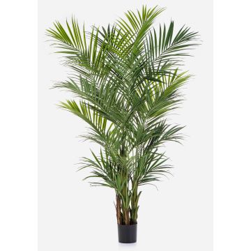 Artificial Kentia Palm OMAYRA, bushy, 9ft/260cm
