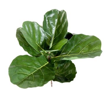 Artificial Ficus Lyrata ATIKA on spike, green, 24"/60cm Artificial Ficus Lyrata ATIKA on spike, green, 24"/60cm