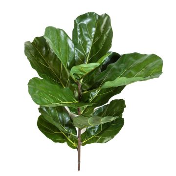 Artificial Ficus Lyrata ATIKA on spike, green, 30"/75cm Artificial Ficus Lyrata ATIKA on spike, green, 30"/75cm