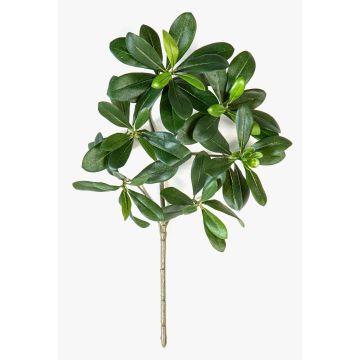 Artificial pittosporum spray MASON, flame retardant, 16"/40cm