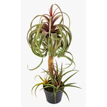 Artificial Tillandsia streptophylla ELGAFAR, green-red, 31"/80cm