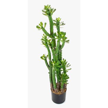 Artificial Euphorbia royleana GACRUX, green, 4ft/120cm