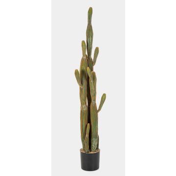 Artificial cactus San Pedro GRUMIUM, green-brown, 5ft/150cm
