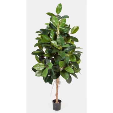 Artificial rubber tree DEVI, natural trunk, green, 5ft/140 cm Artificial rubber tree DEVI, natural trunk, green, 5ft/140 cm