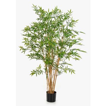 Artificial bamboo HATYSA, natural stems, 5ft/150cm Artificial bamboo HATYSA, natural stems, 5ft/150cm