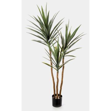 Artificial yucca HELVETIOS, green-grey, 5ft/160cm